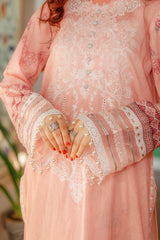 D# 06-Peach Puff 3 Piece