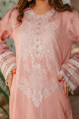 D# 06-Peach Puff 3 Piece