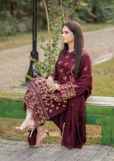 LNF-14-BURGUNDY 3 Piece