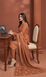 LNF-134 Copper Brown Karandi 3 Piece Unstitched