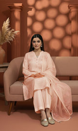 LNF-143 Soft Pink Karandi 3 Piece Unstitched