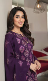 LNF-160 Purple Karandi 3 Piece Unstitched
