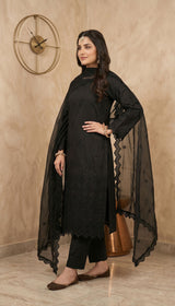 LNF 194 BLACK CHIKAN KARI LAWN 3 PCS