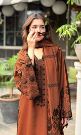 LNF-71 COPPER COIN 3 PCS