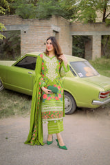 D# 04-LIME Winter Luxury Embroidered Dhanak